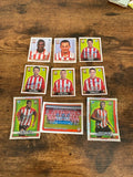 Merlin’s 96-04 Southampton FC football collectible sticker