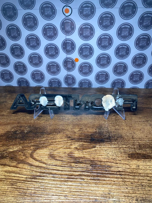 Large Vauxhall Holden Opel Frontera car badge emblem logo collectible