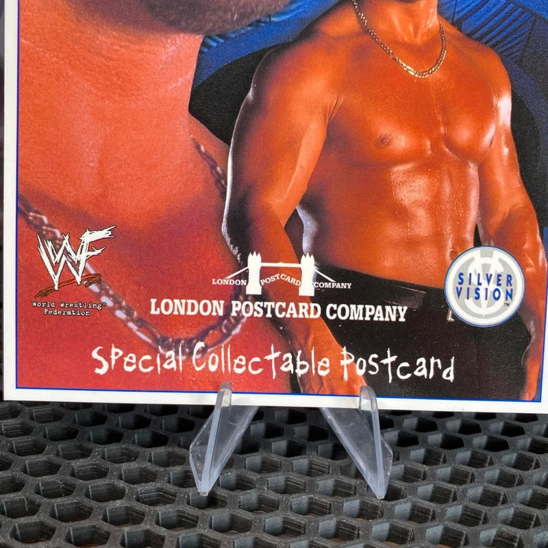 Vintage Sports Postcard - Wrestling, WWF, Wrestler Stone Cold Steve Austin