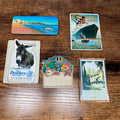 Bundle Of Fridge Magnets Some Vintage - York Benidorm Cunard Line Fish Donkey