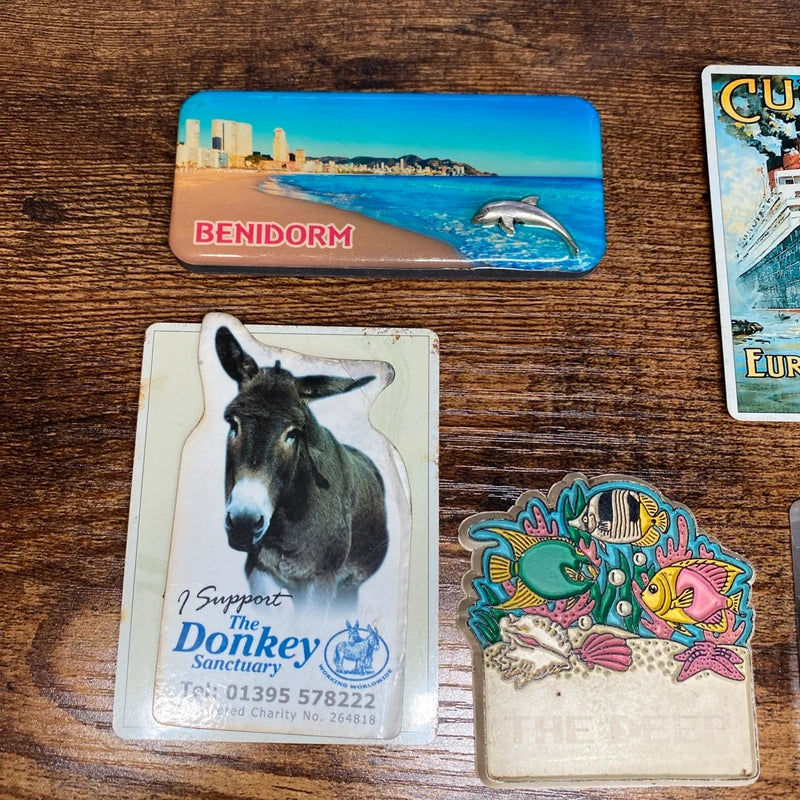 Bundle Of Fridge Magnets Some Vintage - York Benidorm Cunard Line Fish Donkey