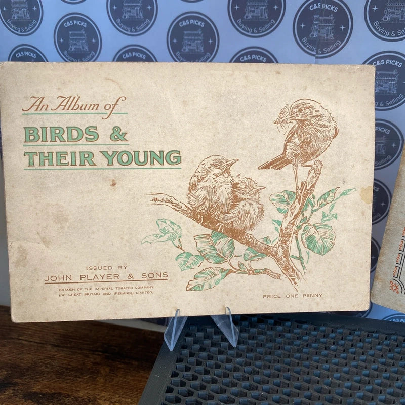 Vintage Cigarette Cards & Stamp Booklet Radio Celebrities, Birds & Wedgwood Lot